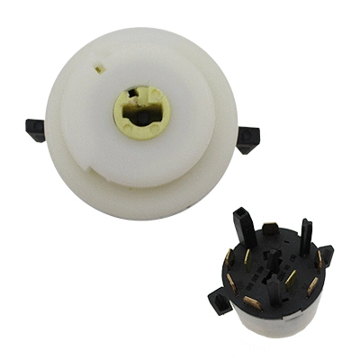 Ignition Switch (WG1901799)