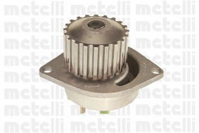 Water Pump, engine cooling (WG1790059)