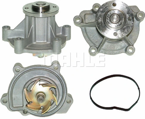 Water Pump, engine cooling (WG2181341)