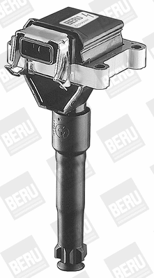 Ignition Coil (WG1487284)