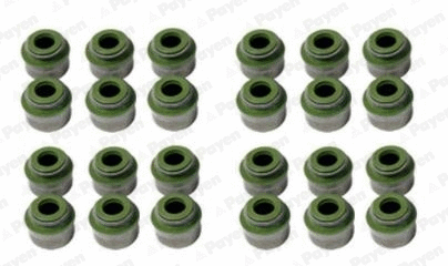 Seal Set, valve stem (WG1181362)