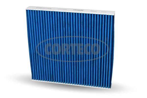 Filter, cabin air (WG1923333)