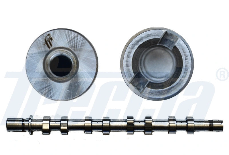 Camshaft (WG1155397)