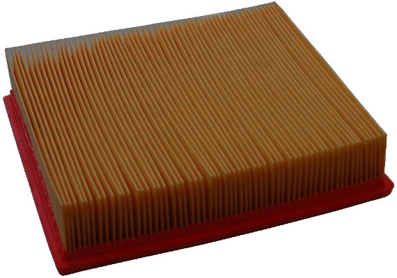 Air Filter (WG1746861)