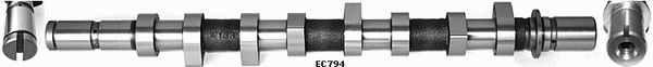 Camshaft (WG1051676)