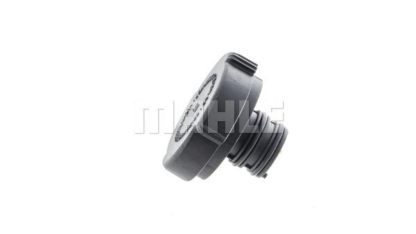 Cap, coolant tank