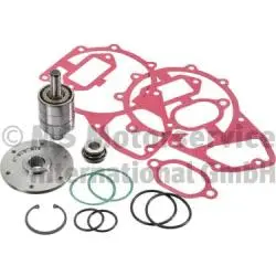 Repair Kit, water pump (WG1815534)