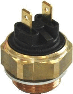 Temperature Switch, radiator fan (WG1748938)