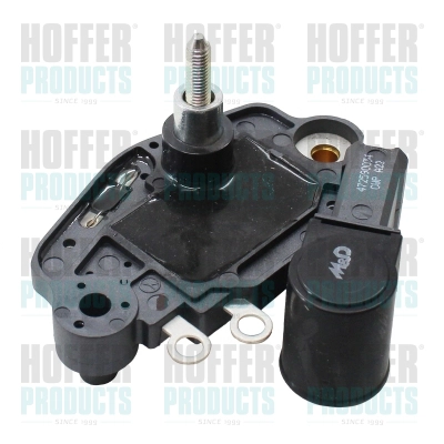 Alternator Regulator (WG2262541)