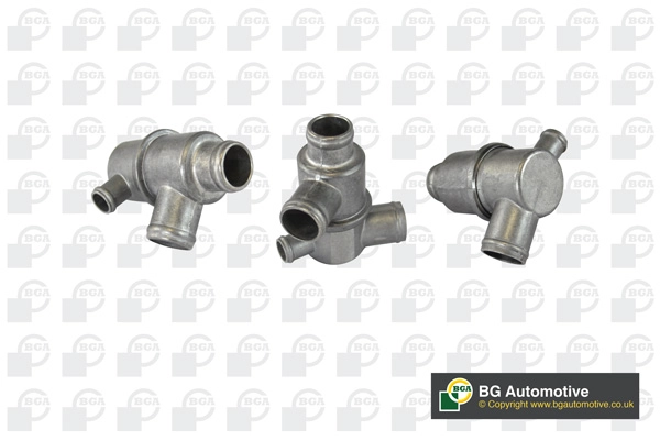 Thermostat, coolant (WG1760461)