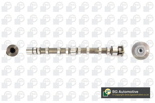 Camshaft (WG1907187)