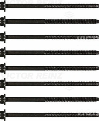 Cylinder Head Bolt Set (WG1103145)