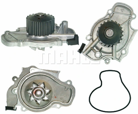 Water Pump, engine cooling (WG2181320)