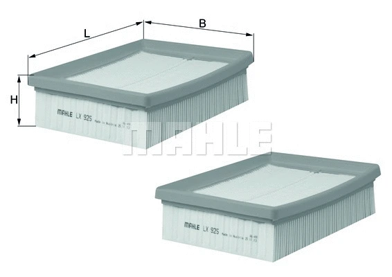 Air Filter (WG1216910)