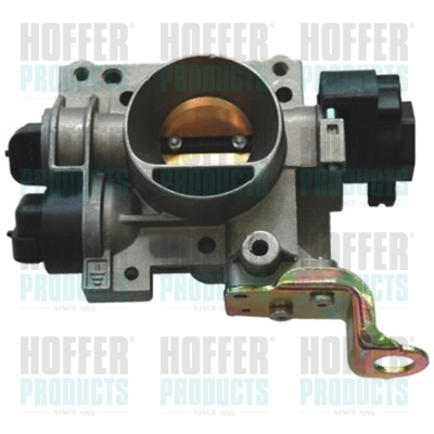 Throttle Body (WG1408786)