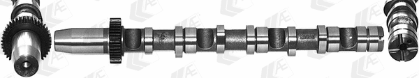 Camshaft (WG1462568)