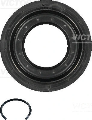 Shaft Seal, differential (WG1791184)