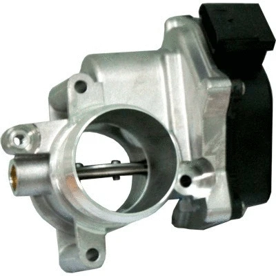 Throttle Body (WG1013579)