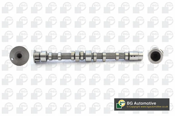 Camshaft (WG1967756)