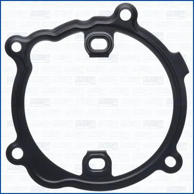 Gasket, water pump (WG1751256)
