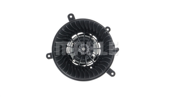 Interior Blower