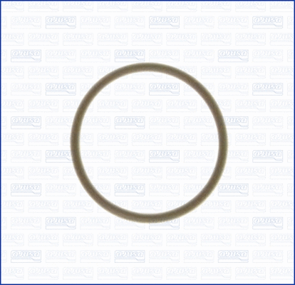 Gasket, intake manifold (WG1451697)