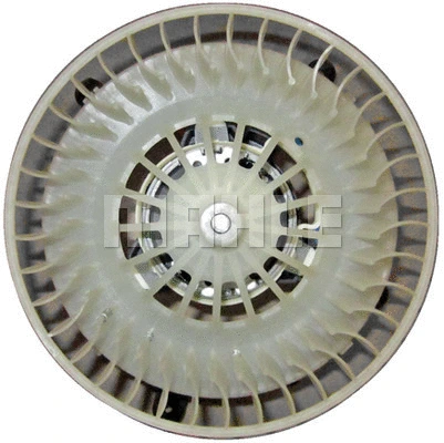 Interior Blower