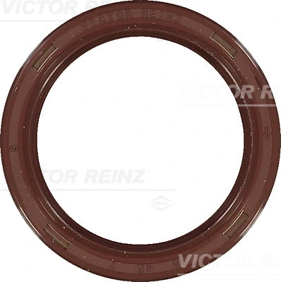 Shaft Seal, crankshaft (WG1250236)