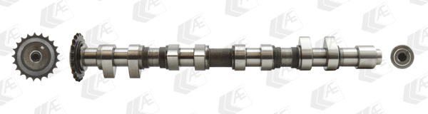 Camshaft (WG1171951)