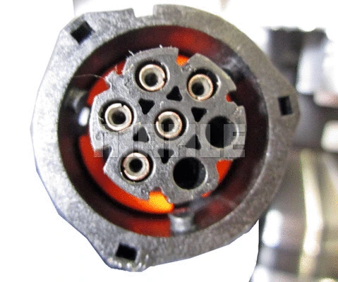 Clutch, radiator fan