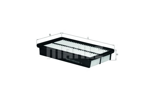 Air Filter (WG1216256)
