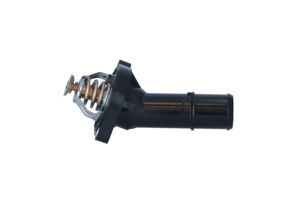 Thermostat, coolant (WG2261166)