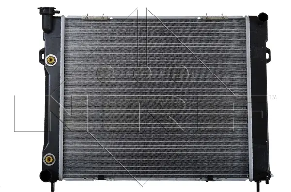 Radiator, engine cooling (WG1721158)
