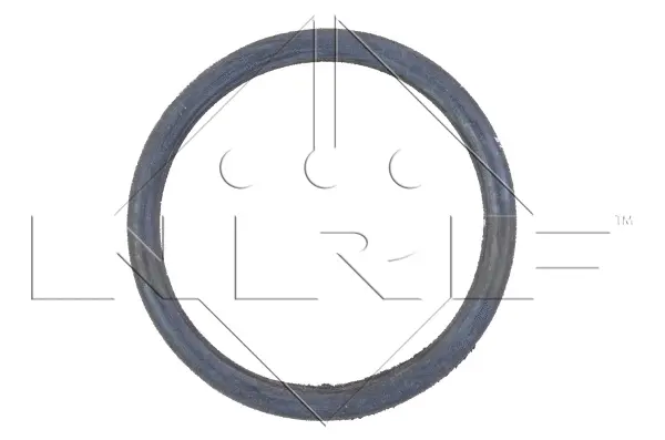 Radiator, engine cooling (WG1723321)