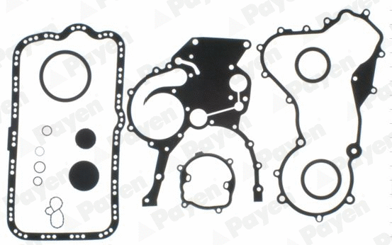 Gasket Kit, crankcase (WG1179979)