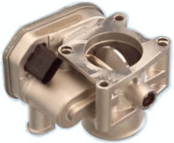 Throttle Body (WG1013512)