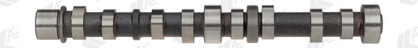 Camshaft (WG1093067)