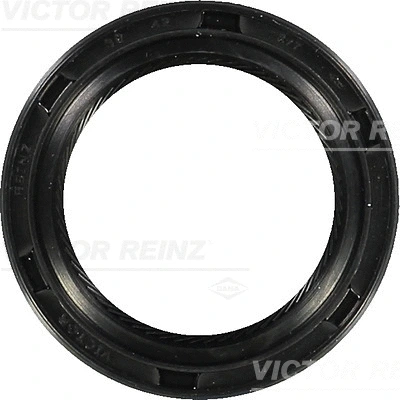 Shaft Seal, crankshaft (WG1249887)
