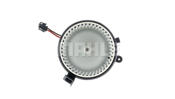 Interior Blower