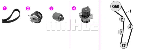 Water Pump & Timing Belt Kit (WG2182160)