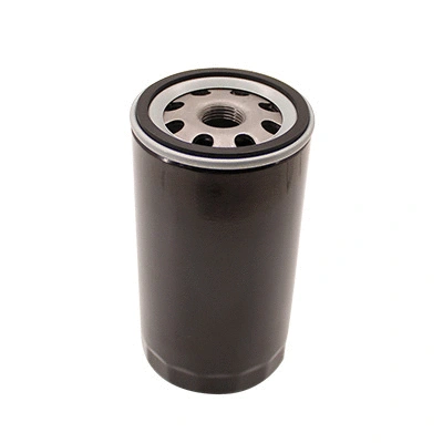 Oil Filter (WG2136971)