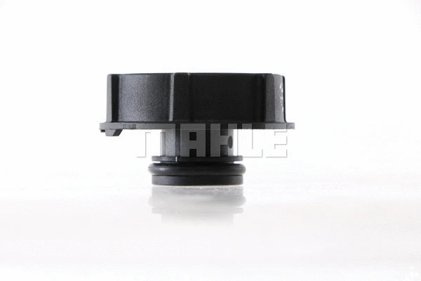 Cap, coolant tank