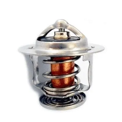 Thermostat, coolant (WG1409267)