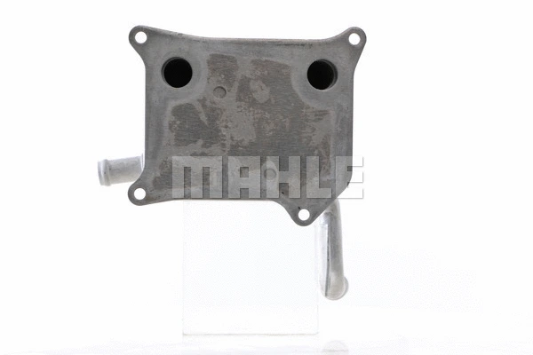 Oil Cooler, engine oil (WG2181074)
