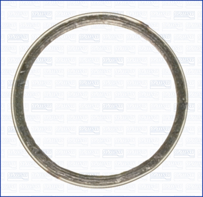 Seal Ring, exhaust pipe (WG1163694)