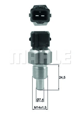 Sensor, coolant temperature (WG1789659)