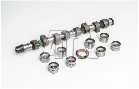 Camshaft Kit (WG2010602)