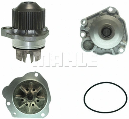 Water Pump, engine cooling (WG2181702)