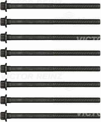 Cylinder Head Bolt Set (WG1379476)