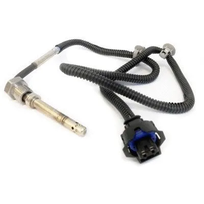 Sensor, exhaust gas temperature (WG1407226)